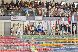 Motylem przez Dolinkę