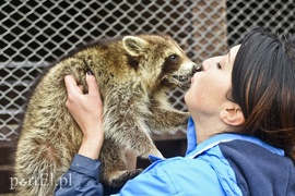 Tu się leczy zranione ciała i dusze. Na czterech łapach, kopytach, na skrzydłach i w futrze