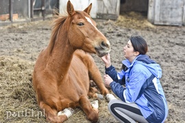 Tu się leczy zranione ciała i dusze. Na czterech łapach, kopytach, na skrzydłach i w futrze