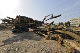 Przy Żuławskiej będzie market. Ruszyły prace
