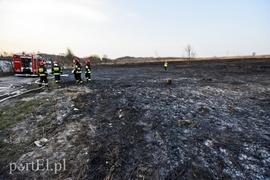 Pożar traw rozprzestrzenił się do stolarni