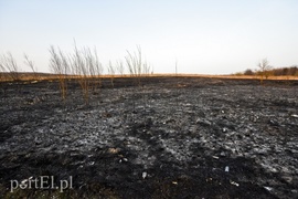 Pożar traw rozprzestrzenił się do stolarni