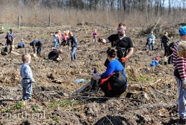 Zasadzili dwa tysiące nowych drzew