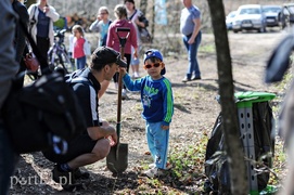Zasadzili dwa tysiące nowych drzew