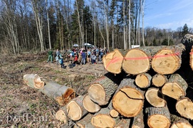 Zasadzili dwa tysiące nowych drzew