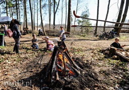 Zasadzili dwa tysiące nowych drzew
