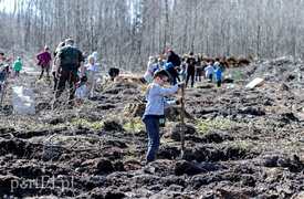 Zasadzili dwa tysiące nowych drzew