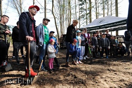 Zasadzili dwa tysiące nowych drzew