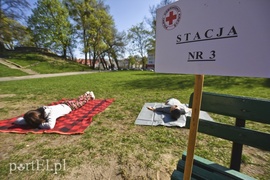 Armagedon w parku Planty