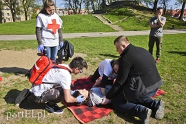 Armagedon w parku Planty