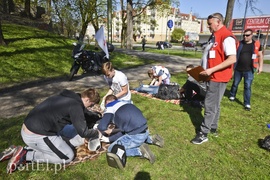 Armagedon w parku Planty