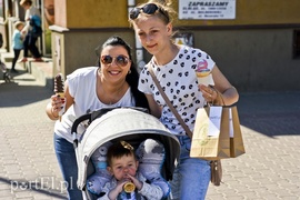 Bratki na Dzień Ziemi  (akcja portEl.pl)