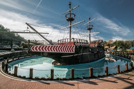 Foki, pokazy i zabawa na całego!