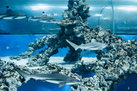 Jedź tam, gdzie zawsze jest dobra pogoda