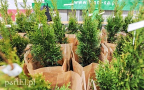 Kilometry nakrętek od uczniów