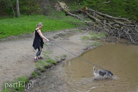 Pobiegli na sześć łap