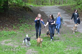 Pobiegli na sześć łap