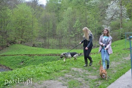 Pobiegli na sześć łap