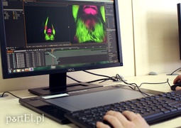 Multimedia to też sztuka