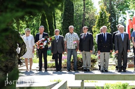 Nigdy więcej takiej wojny