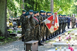 Nigdy więcej takiej wojny