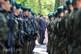 Nigdy więcej takiej wojny