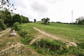 Co dalej z Bażantarnią