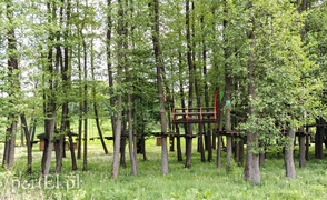 Co dalej z Bażantarnią