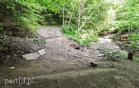 Co dalej z Bażantarnią