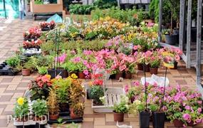 Segregacja odpadów weszła im w krew