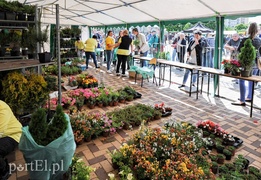 Segregacja odpadów weszła im w krew
