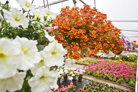 To nie zawsze musi być bukiet