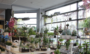 Dzień Matki w Kwiaciarni Romantycznej