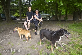 Mamy pomysł na bieg na sześć łap