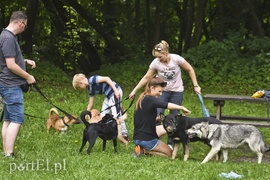 Mamy pomysł na bieg na sześć łap