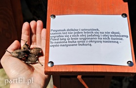 Tu wszystkiego można dotknąć
