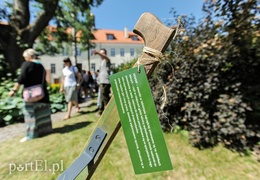 Tu wszystkiego można dotknąć