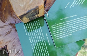 Tu wszystkiego można dotknąć