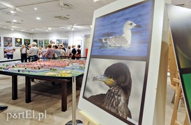 Zdjęcia przyrody na urodziny