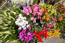 Wybierz naturalne piękno