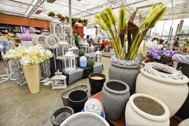 Wybierz naturalne piękno