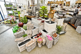 Wybierz naturalne piękno