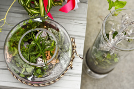 Wybierz naturalne piękno