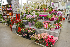 Wybierz naturalne piękno