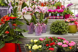 Wybierz naturalne piękno