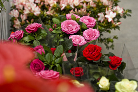 Wybierz naturalne piękno