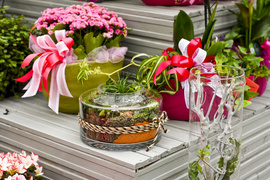 Wybierz naturalne piękno