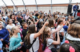 Zatorze wszystko może