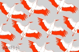 Murale niepodległości