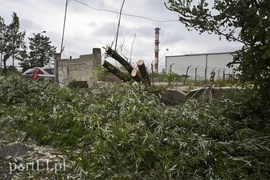 Dzisiaj rządził wiatr